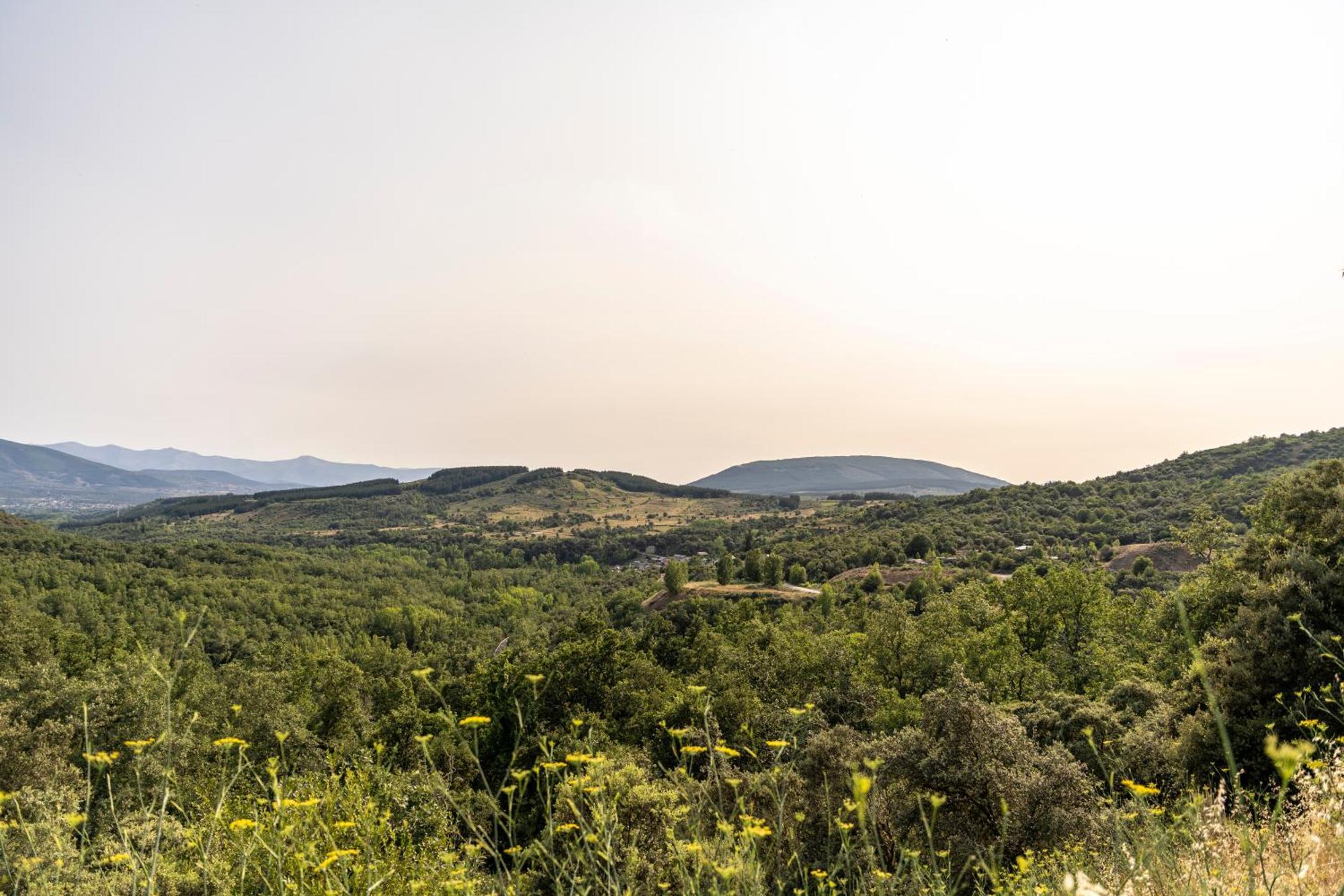 Casa De Turismo Rural Sardom3 Bembibre  Εξωτερικό φωτογραφία