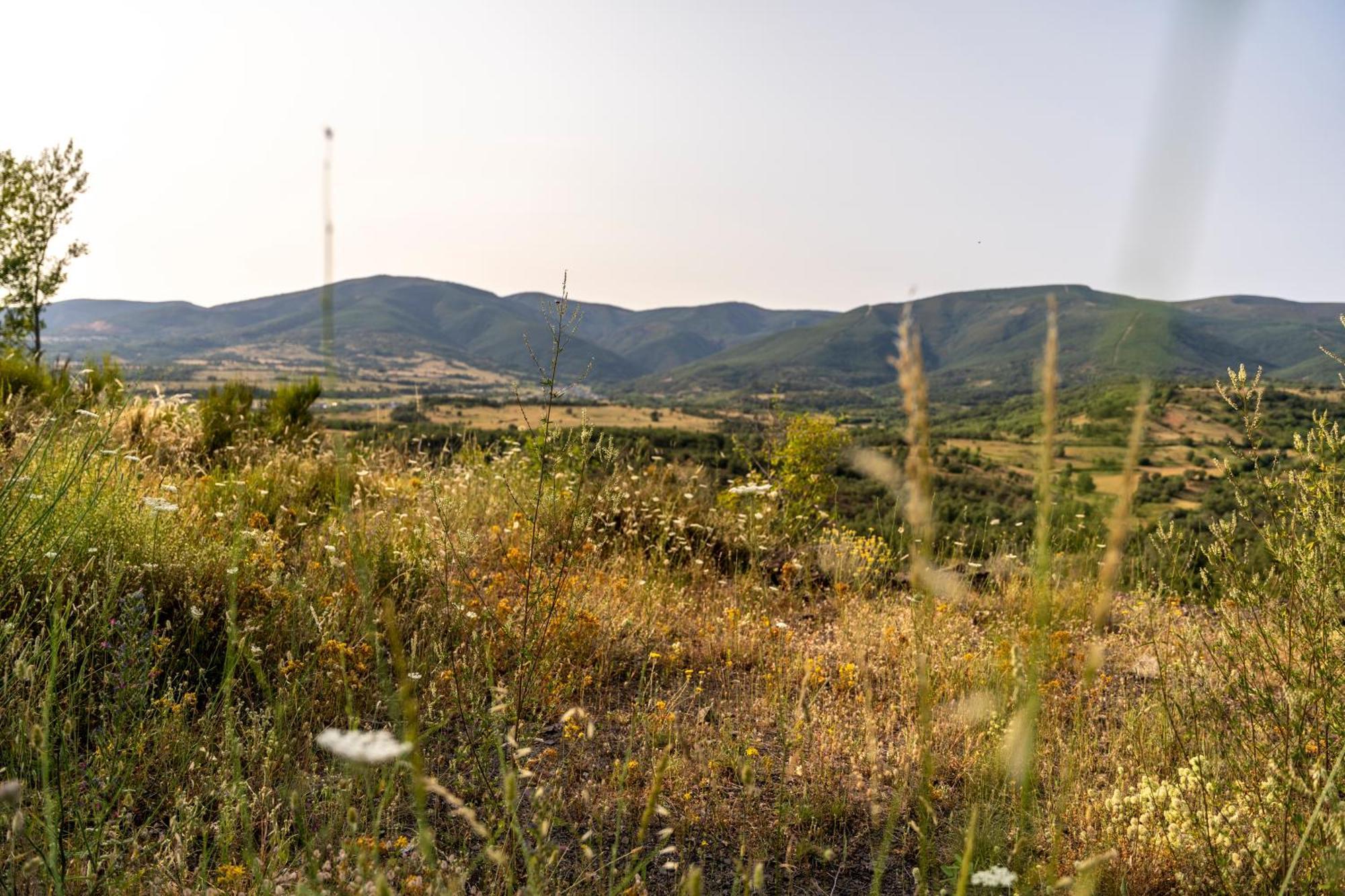 Casa De Turismo Rural Sardom3 Bembibre  Εξωτερικό φωτογραφία
